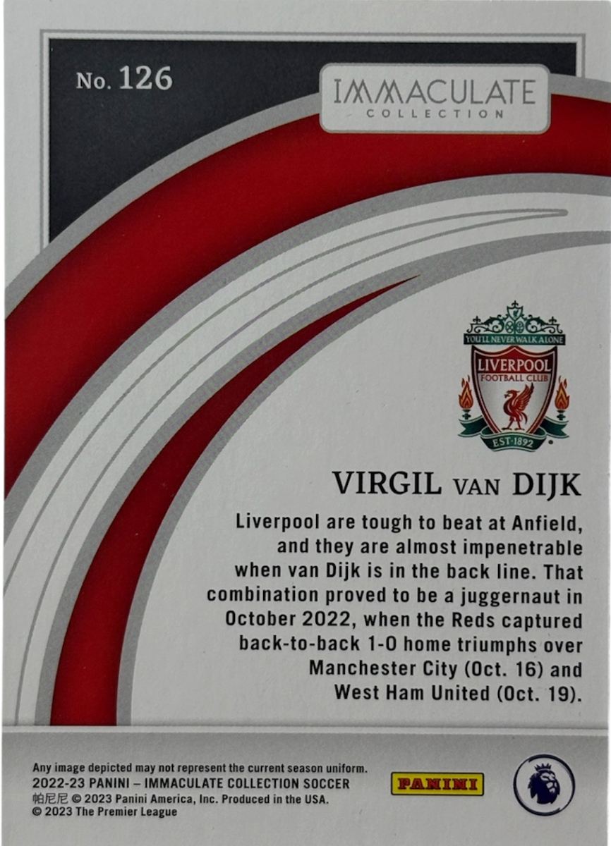 Virgil Van Dijk Immaculate 24/49 — back