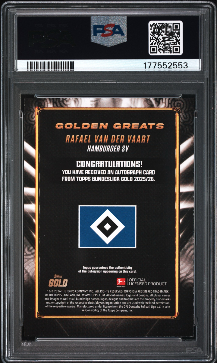 Rafael van der Vaart - Golden Greats — back