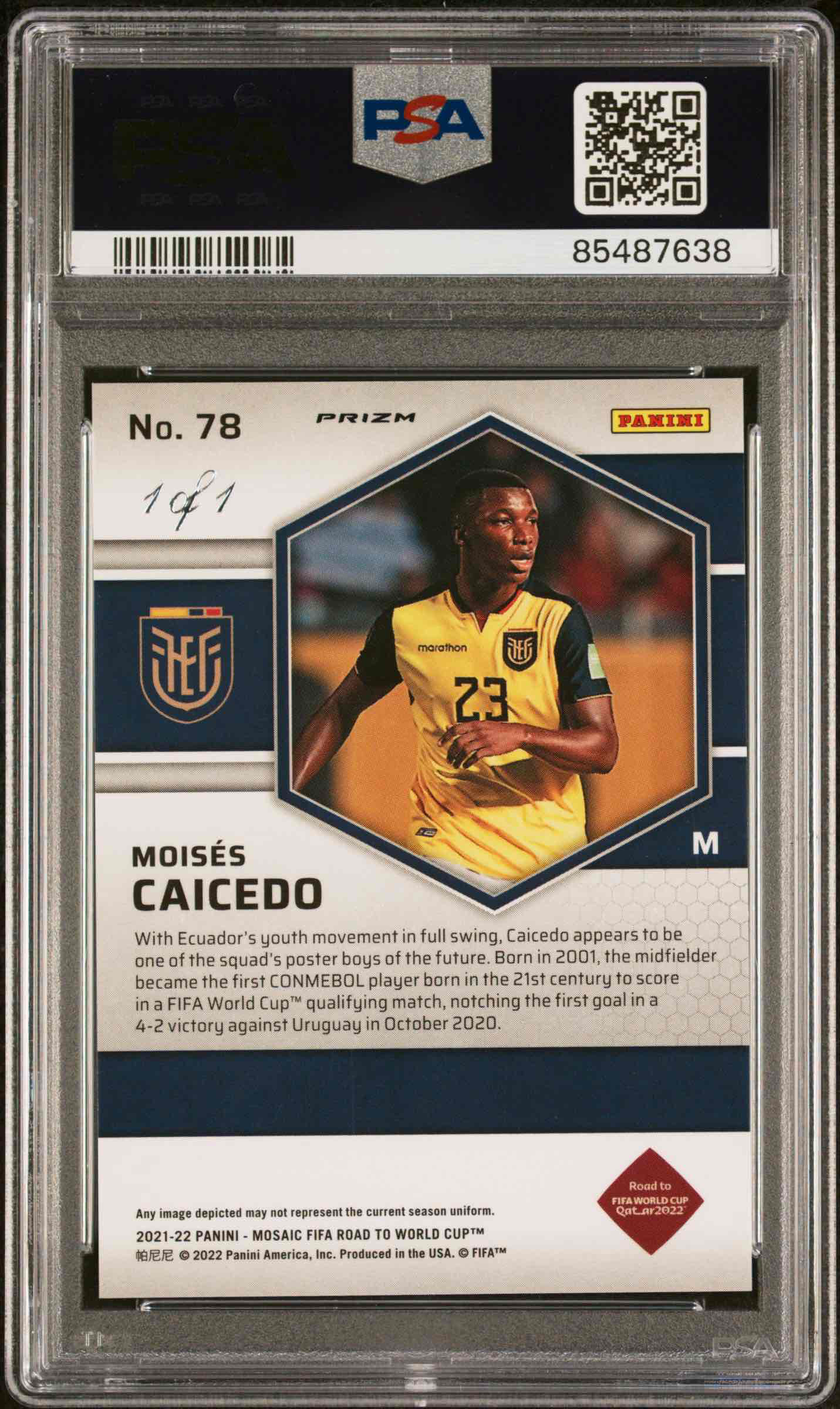 Moises Caicedo back